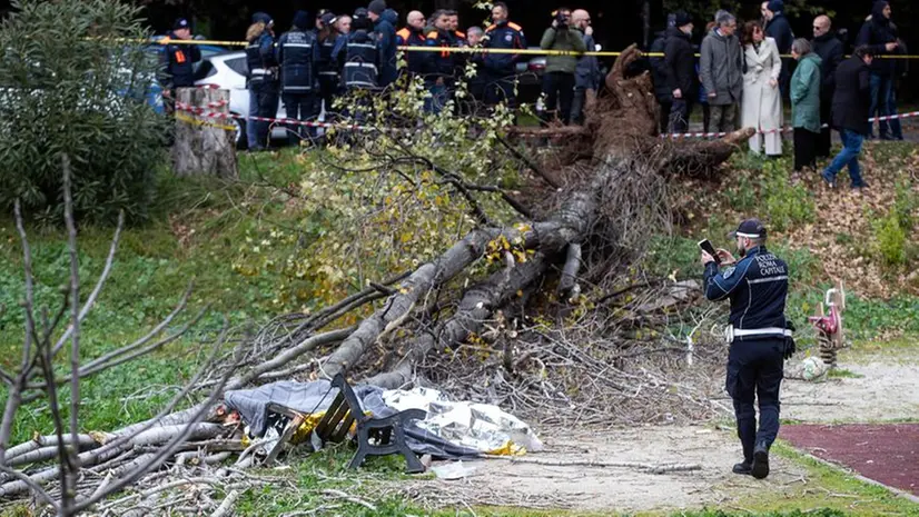 L'albero si è schiantato sulla panchina del parco - Foto Ansa © www.giornaledibrescia.it