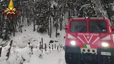 Un allevamento di animali era rimasto isolato a Cardinale (CZ) dopo le intense nevicate: in aiuto all’allevatore, impossibilitato a raggiungere la struttura, sono intervenuti i vigili del fuoco che con il gatto delle nevi hanno rifornito di foraggio gli animali, 10 febbraio 2023. ANSA/ VIGILI DEL FUOCO +++ ANSA PROVIDES ACCESS TO THIS HANDOUT PHOTO TO BE USED SOLELY TO ILLUSTRATE NEWS REPORTING OR COMMENTARY ON THE FACTS OR EVENTS DEPICTED IN THIS IMAGE; NO ARCHIVING; NO LICENSING +++ NPK +++