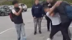 Fermo immagine del video condiviso sui social in cui si vede un giovane picchiare un compagno di scuola. Per questi fatti la questura di Treviso ha emesso un provvedimento di ammonimento per bullismo nei confronti di un 15enne residente nella Marca. Ansa/Questura Treviso