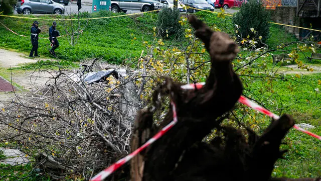 Polizia sul luogo in cui una donna è deceduta, in seguito alla caduto di un albero per il forte vento in un parco giochi in via Cesare Massimo a Colli Aniene, Roma, 23 dicembre 2024. ANSA/ANGELO CARCONI