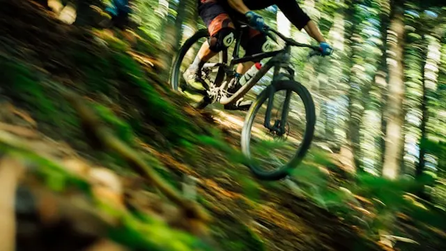 In bici lungo i sentieri del bosco - Foto unsplash.com