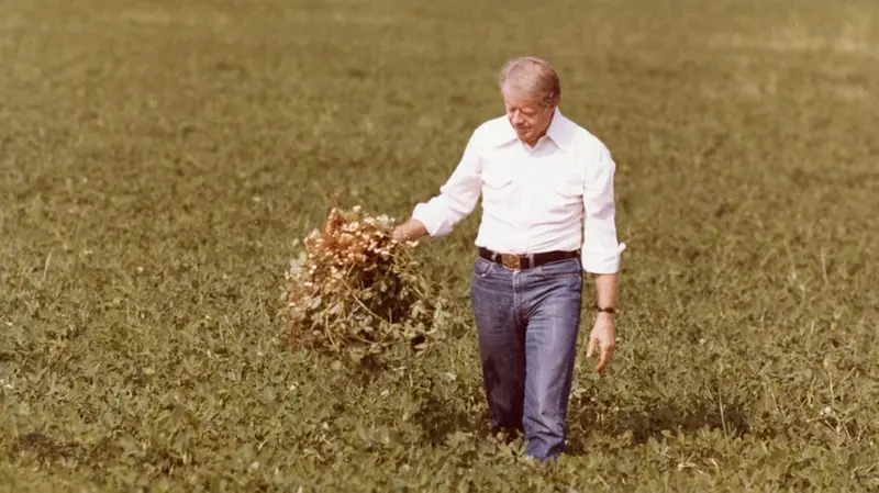 Coltivatore di arachidi