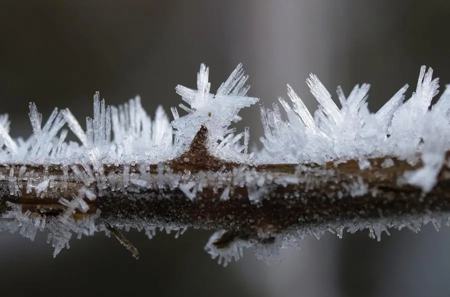 Passione meteo, com'è andato il 2024