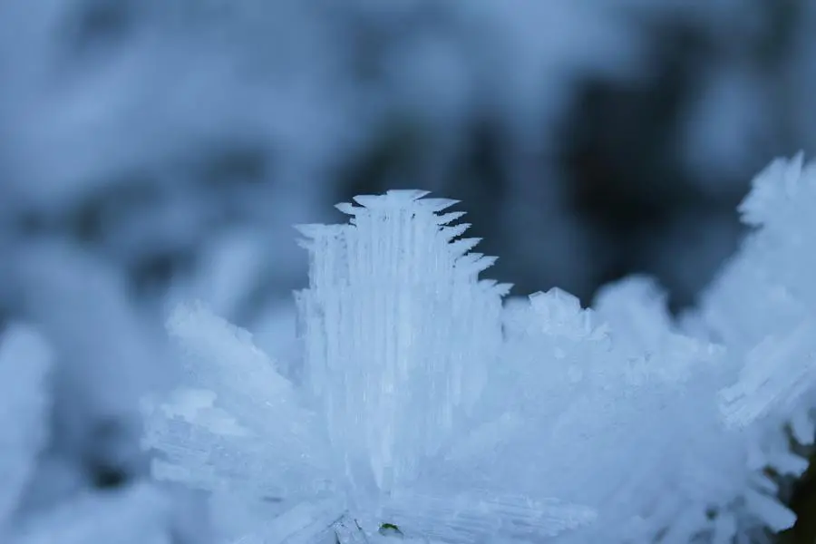 Passione meteo, com'è andato il 2024