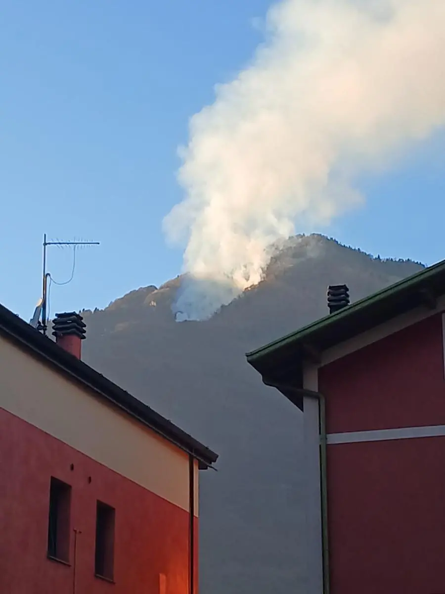 L'incendio boschivo a Losine