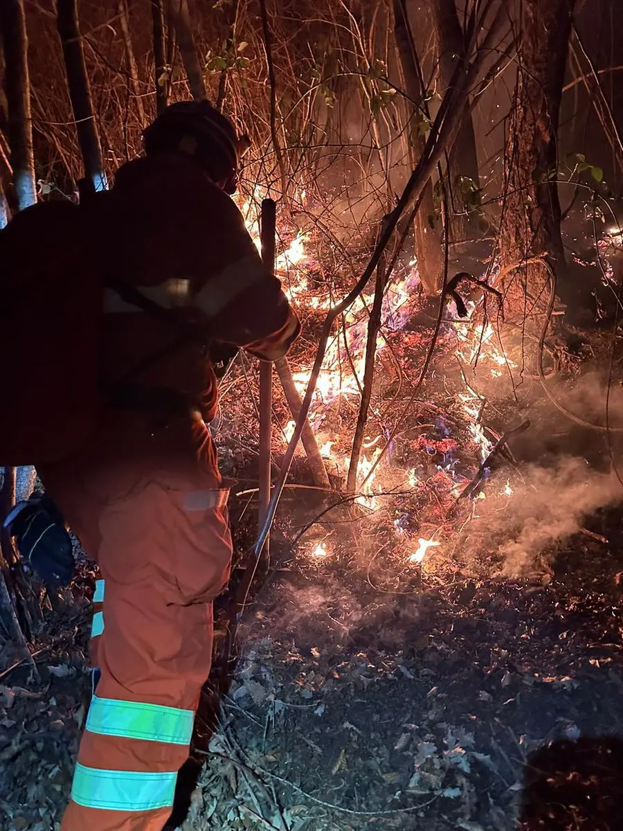 Incendio a Losine, la situazione nella serata del 31 gennaio