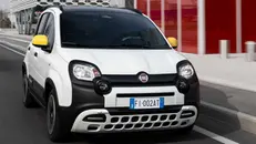 La Fiat Panda rimane l'auto preferita dagli italiani