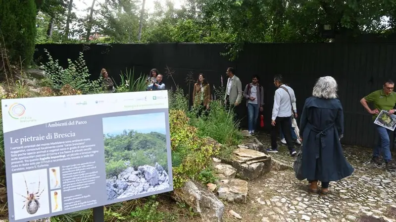 Il bosco della Montagnola - © www.giornaledibrescia.it