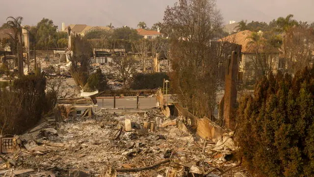 epa11815707 A neighborhood of homes destroyed by the Palisades wildfire in the Pacific Palisades neighborhood of Los Angeles, California, USA, 09 January 2025. According to the California Governor's office, more than 7,500 firefighting and emergency personnel are involved in response efforts, as multiple wildfires are burning across thousands of acres and have forced widespread evacuations in the Los Angeles area. EPA/CAROLINE BREHMAN