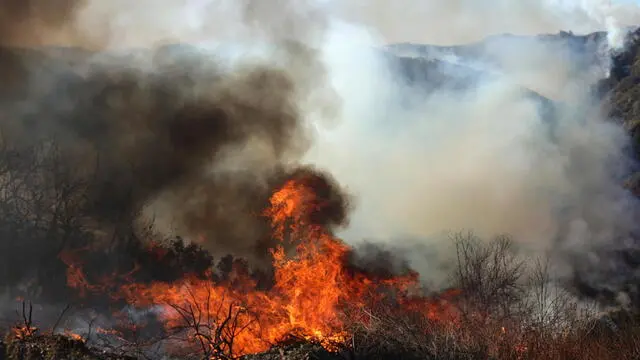 epa11817426 Flames and smoke engulf a section of the Palisades wildfire in the Pacific Palisades area of Los Angeles, California, USA, 10 January 2025. Thousands of firefighting and emergency personnel are involved in response efforts, as multiple wildfires are continuing to burn across thousands of acres in Southern California, destroying thousands of homes and forcing people to evacuate areas throughout the Los Angeles area. EPA/ALLISON DINNER