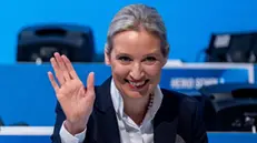 epa11818212 Alternative for Germany (AfD) party and faction co-chairwoman and top candidate for the federal election Alice Weidel attends the party's federal conference in Riesa, Germany, 11 January 2025. The AfD holds the 16th Federal Party Congress on 11 and 12 January to elect the party's candidate for chancellor and to adopt its federal election program, ahead of the early general elections scheduled on 23 February. EPA/MARTIN DIVISEK