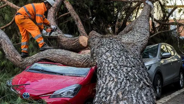 Workers remove the remains of an uprooted tree that crashed on some parked cars in the Ragusa square in Rome, Italy, 17 November 2019. ANSA/ANGELO CARCONI