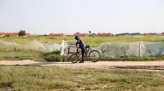 epa09739230 A man ride a bicycle afield an internal displaced people's camp in Maiduguri, in Nigeria's north-eastern state of Borno, Nigeria, 08 February 2022. Nigeria's northeast has been a zone of terrorism over the past 12 years, with millions of people displaced, and many living in IDP camps, over the activities of the Islamic terrorists who are angered by formal Western education. Normal daily life is gradually returning to Maiduguri, the epicenter of the crisis. EPA/AKINTUNDE AKINLEYE