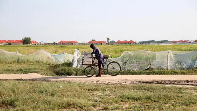 epa09739230 A man ride a bicycle afield an internal displaced people's camp in Maiduguri, in Nigeria's north-eastern state of Borno, Nigeria, 08 February 2022. Nigeria's northeast has been a zone of terrorism over the past 12 years, with millions of people displaced, and many living in IDP camps, over the activities of the Islamic terrorists who are angered by formal Western education. Normal daily life is gradually returning to Maiduguri, the epicenter of the crisis. EPA/AKINTUNDE AKINLEYE