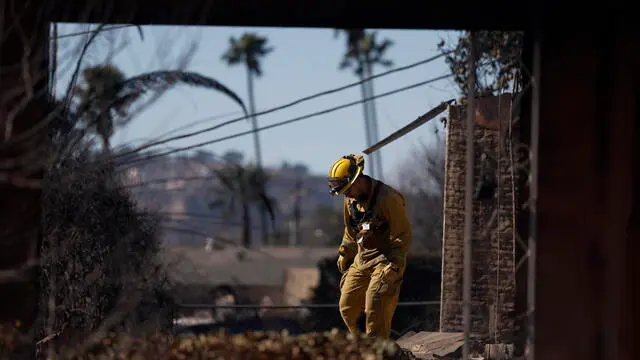 epa11822576 Firefighters and Search and Rescue teams inspect the site of a burned down home in Altadena, California, USA, 13 January 2025. Various teams have been deployed to not only look for hazards and firehot spots, but also identify if there are human remains. As of the morning of 13 January, the number of confirmed deaths from the Palisades and Eaton fires is 25, with eight of the fire victims from the Palisades fire and 17 from the Eaton fire in Altadena, according to the Los Angeles County medical examiner and Sheriff Robert Luna. EPA/CAROLINE BREHMAN