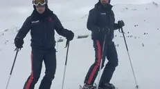 Carabinieri sciatori in Trentino, a Vermiglio. ANSA/CARABINIERI COMPAGNIA DI CLES