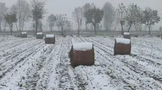 Lo scioglimento della neve diventa irrigazione costante per il mais © www.giornaledibrescia.it