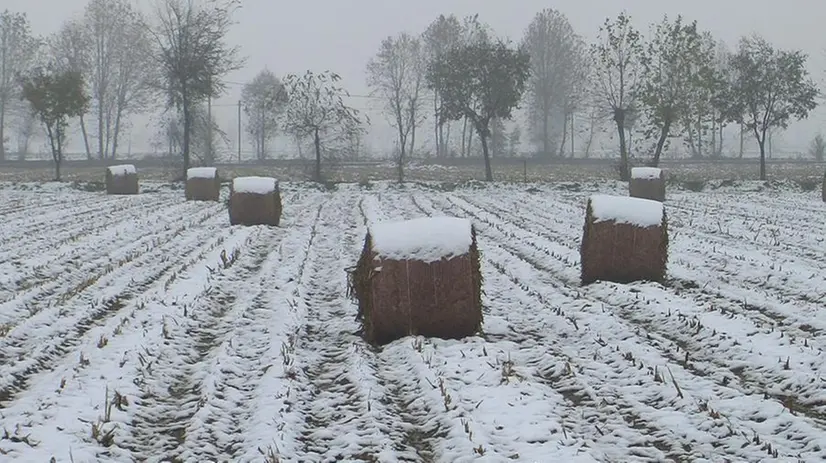 Lo scioglimento della neve diventa irrigazione costante per il mais © www.giornaledibrescia.it