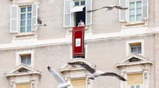 Pope Francis leads the Angelus prayer, traditional Sunday's prayer, from the window of his office overlooking Saint Peter's Square, in Vatican City, 19 January 2025. ANSA/FABIO FRUSTACI