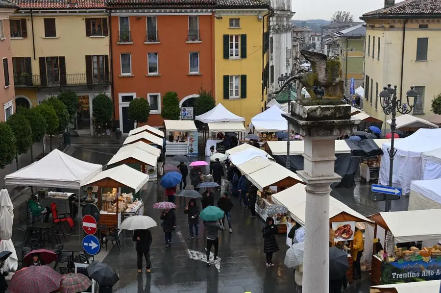 LONATO IN PIAZZA CON NOI REDAZIONE PROVINCIA 19-01-2025  GABRIELE STRADA NEW EDEN GROUP 