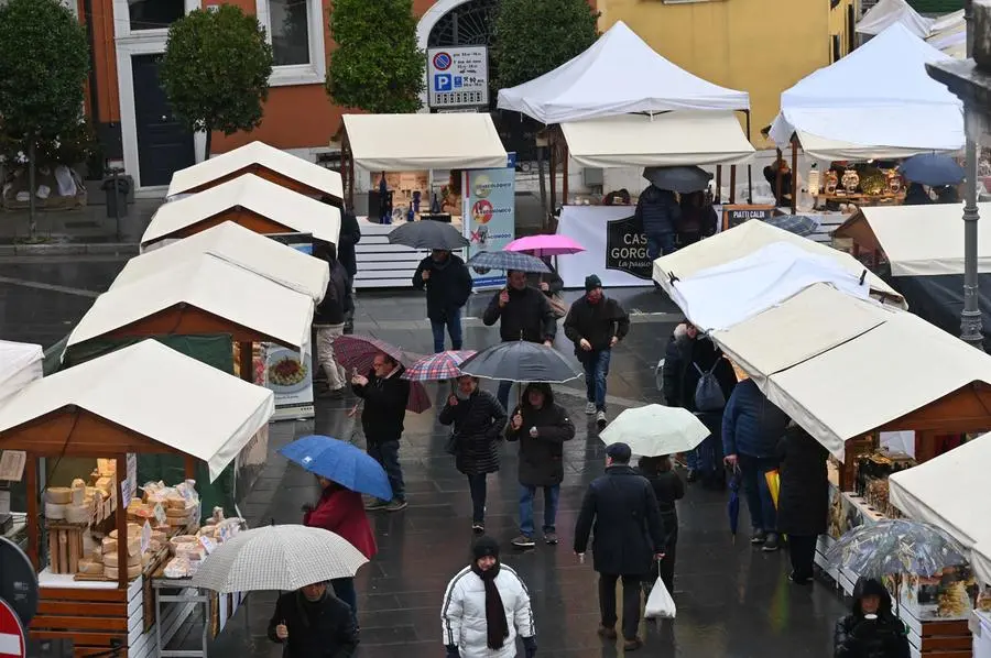 LONATO IN PIAZZA CON NOI REDAZIONE PROVINCIA 19-01-2025  GABRIELE STRADA NEW EDEN GROUP 