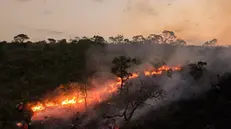 epa11623173 A forest fire breaks out in the Contagem Ecological Reserve in Brasilia, Brazil, 24 September 2024. EPA/ANDRE BORGES