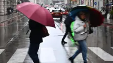 Piove forte a tratti, allagamenti diffusi sul territorio ligure. Scuole chiuse in via precauzionale in molti comuni, allerta arancione nel centro della regione, mentre nel Tigullio e nello spezzino il livello di allerta erossa per i grandi bacini dell'Entella.e del Magra.Genova, 08 ottobre 2024. ANSA/LUCA ZENNARO