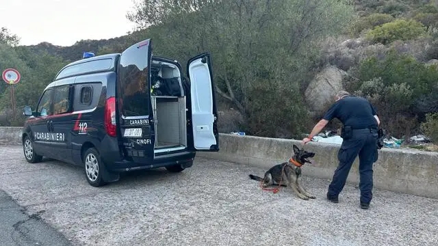 I cani molecolari arrivati per aiutare le ricerche del corpo di Francesca Deidda, la 42enne sparita da maggio da San Sperate, paese a una decina di chilometri da Cagliari che secondo la Procura sarebbe stata uccisa dal marito, Igor Sollai, 43 anni, attualmente in carcere per omicidio volontario e occultamento di cadavere. Oggi pomeriggio i cani molecolari dei carabinieri arrivati appositamente da Bologna sono stati portati nella zona di Sinnai per una prima battuta dii ambientamento. Domani con buona probabilità saranno utilizzati attivamente nelle ricerche, 16 luglio 2024 ANSA/ Manuel Scordo