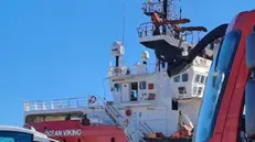 Foto di Daniele Carotti, approdo Ocean Viking al porto di Ancona con 67 naufraghi. Con pettorina gialla il vice sindaco Giovanni Zinni