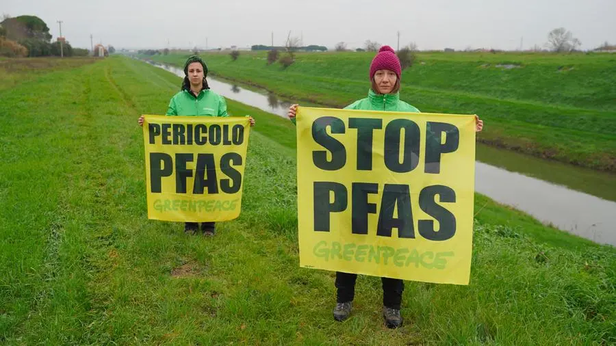 Valori di Pfas, la raccolta dei campioni di Greenpeace