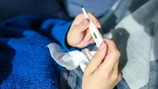 Influenza, è il picco stagionale - Foto Pexels