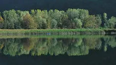 Le Torbiere del Sebino