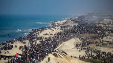 epa11856211 Internally displaced Palestinians make their way from southern to northern Gaza along Al Rashid road, central Gaza Strip, 27 January 2025. Israel and Hamas implemented the first phase of a hostage release and ceasefire deal on 19 January 2025. According to the UN, at least 1.9 million people (or nine in ten people) across the Gaza Strip are internally displaced, including people who have been repeatedly displaced. EPA/MOHAMMED SABER