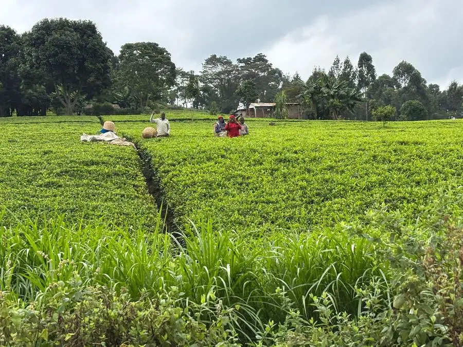 Il training camp di Kapsabet