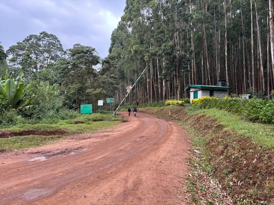 Il training camp di Kapsabet