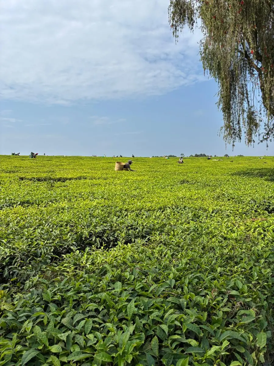 Il training camp di Kapsabet