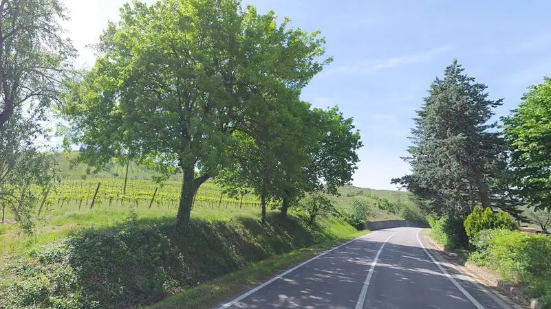 Un tratto della strada tra Sarna e Brisighella