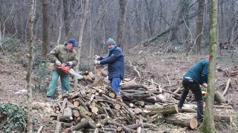 Il gruppo alpini all'opera nel bosco - © www.giornaledibrescia.it