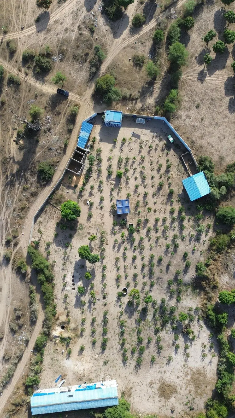 La fattoria in Senegal di Dahoud