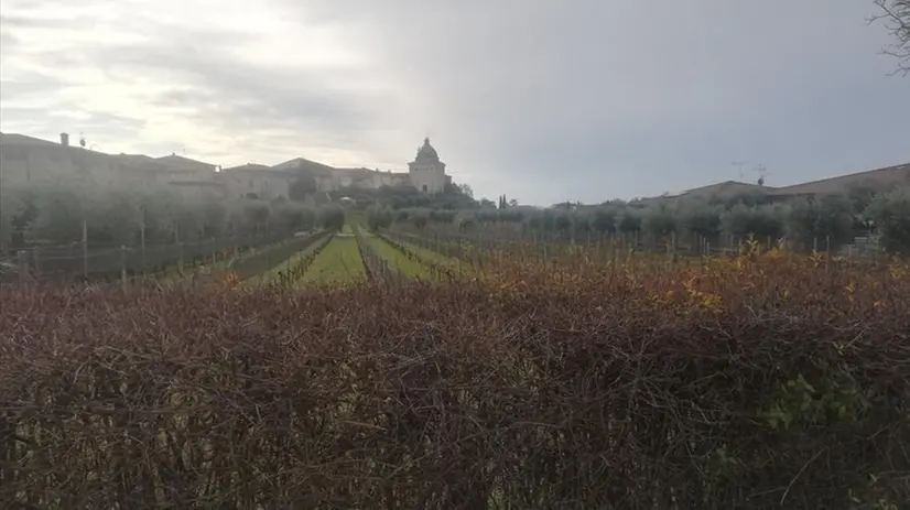 La cupola di Santa Maria della Neve a Raffa di Puegnago