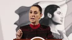 epa11845169 Mexican President Claudia Sheinbaum speaks during her daily press conference at the National Palace in Mexico City, Mexico, 22 January 2025, during which she announced that she would send an initiative to Congress to reform the Constitution to prohibit the planting of transgenic corn in Mexico, and rejected US President Donald Trump's measure to allow immigration raids on previously considered 'protected' places, such as schools, colleges and churches in the US. EPA/JOSE MENDEZ