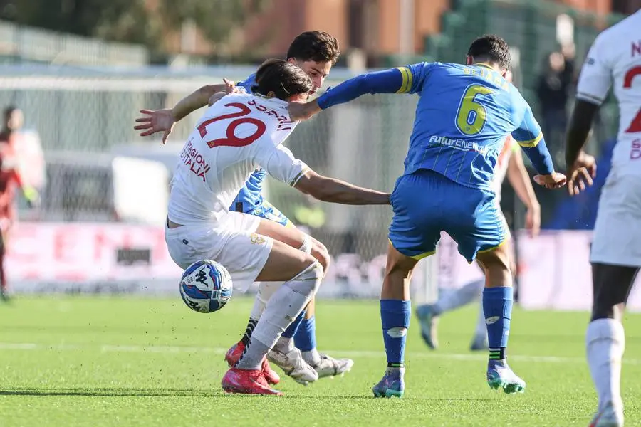 Serie B, gli scatti di Carrarese-Brescia