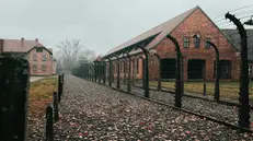 Il campo di sterminio di Auschwitz, in Polonia