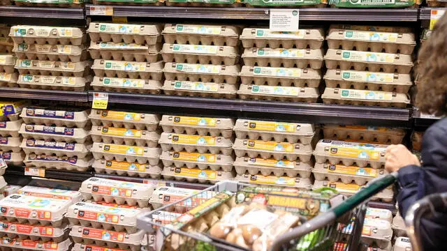 epa11781378 A shopper's cart sits in front of a shelf displaying eggs for sale at a Whole Foods grocery store in New York, New York, USA, 16 December 2024. According to the US Bureau of Labor Statistics, egg prices rose 38 percent since November 2023 and 8 percent last month alone due to the holiday season's typical high demand and reduced supply from the bird flu outbreak. EPA/SARAH YENESEL