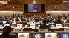 epa09966038 Tedros Adhanom Ghebreyesus, Director General of the World Health Organization (WHO), delivers his statement, during the first day of the 75th World Health Assembly at the European headquarters of the United Nations in Geneva, Switzerland, 22 May 2022. EPA/SALVATORE DI NOLFI