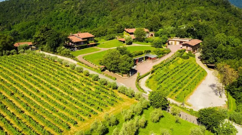 Una veduta panoramica della tenuta Castelveder