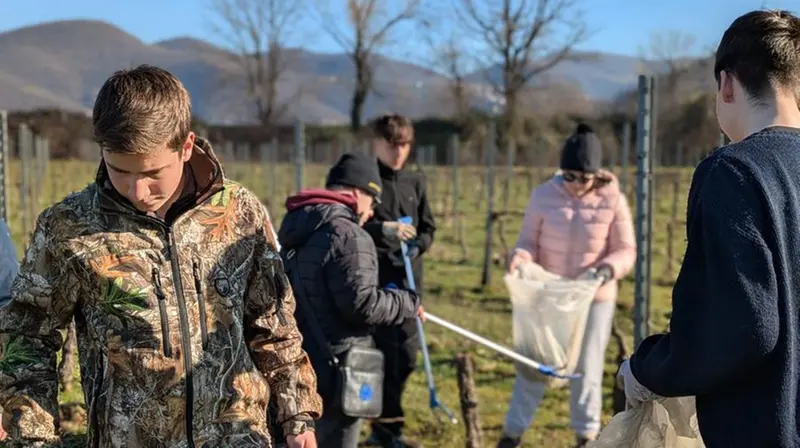 Ragazzi impegnati nella raccolta di plastica tra i vigneti © www.giornaledibrescia.it