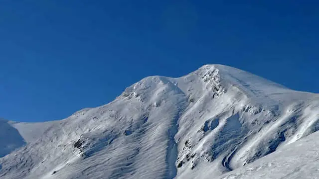 foto fornita dall'Ufficio stampa del Saer