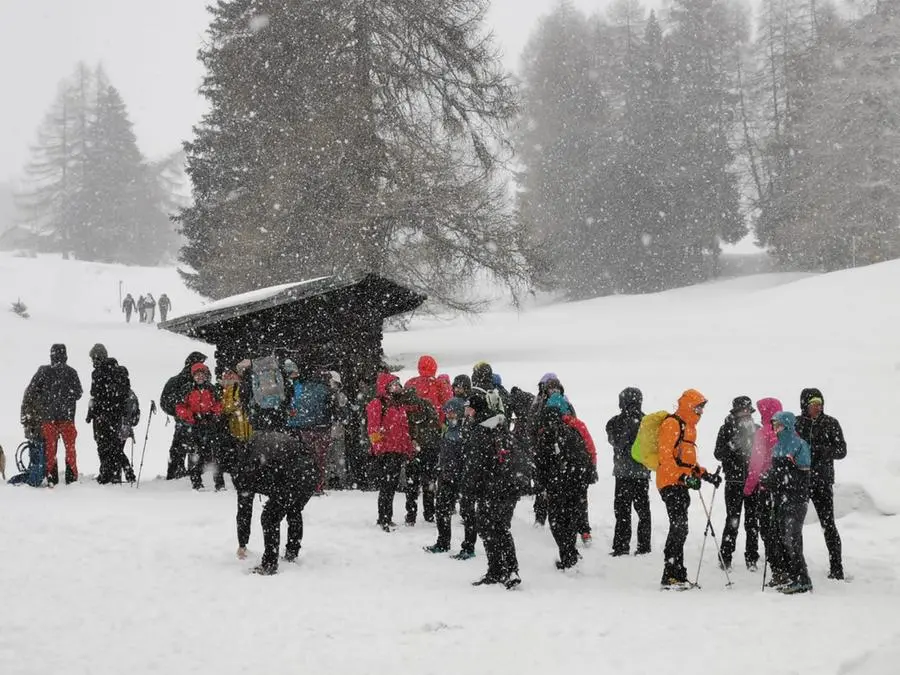 Ponte di Legno, la protesta contro le Olimpiadi invernali