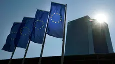 epa09658528 (FILE) - Europe flags fly in front of the new building of the European Central Bank (ECB) in Frankfurt am Main, Germany, 09 September 2021 (reissued 28 December 2021). The ECB moved to their new building in Frankfurt's Ostend district in early 2015. The new year's 01 January 2022 marks the 20th anniversary of the introduction of Europe's first ever single currency. A dozen European countries with Austria, Belgium, Finland, France, Germany, Greece, Ireland, Italy, Luxembourg, the Netherlands, Portugal and Spain initially joined in blazing the euro trail. EPA/RONALD WITTEK *** Local Caption *** 56432902